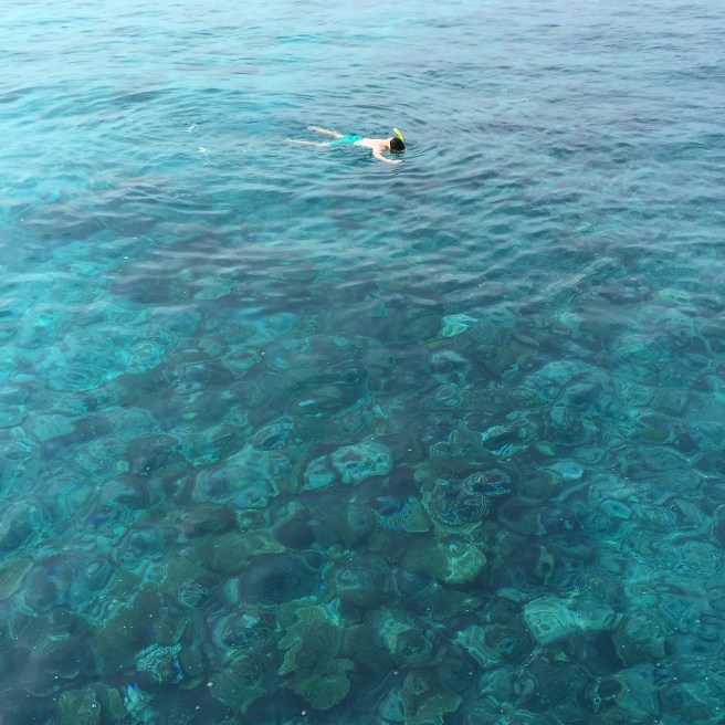 maldives_snorkelling