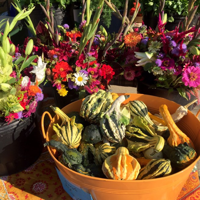 dupont_circle_farmers_market_gourds