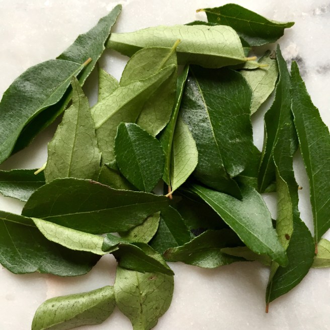 indian_spice_shop_curry_leaves