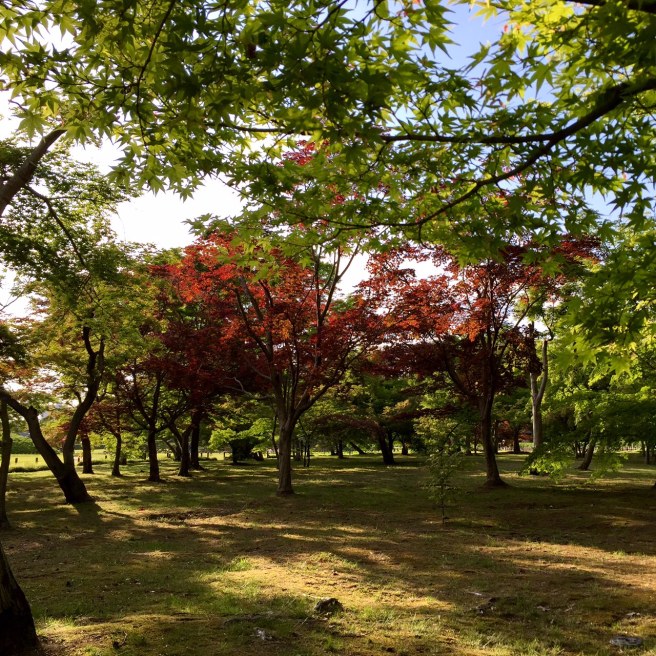 okayama_korakuen_garden_1