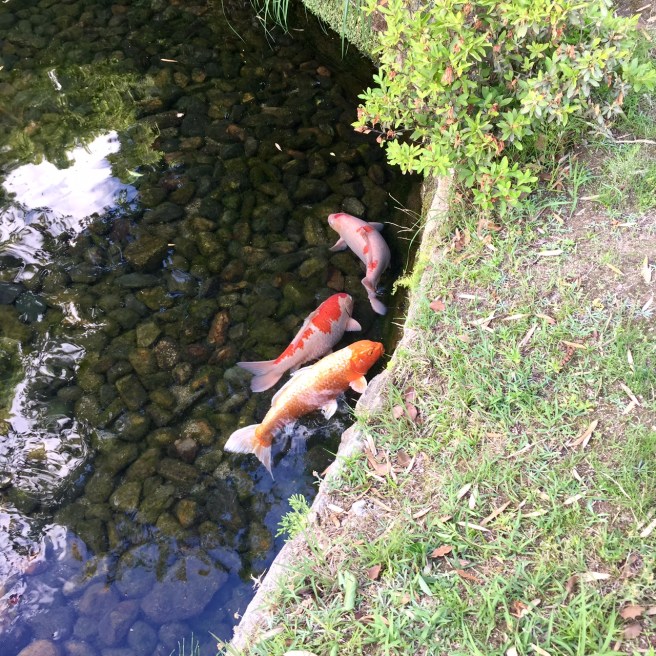 okayama_korakuen_garden_5