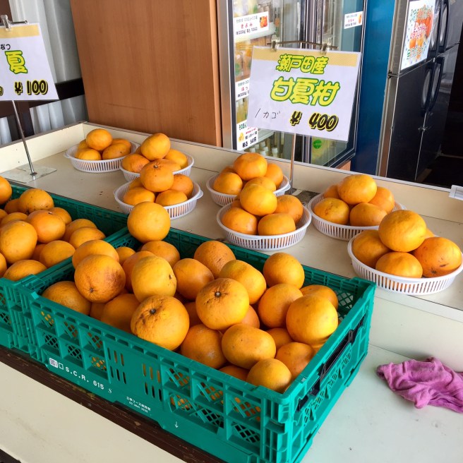 shimanami_kaido_cycling_citrus_shop_2