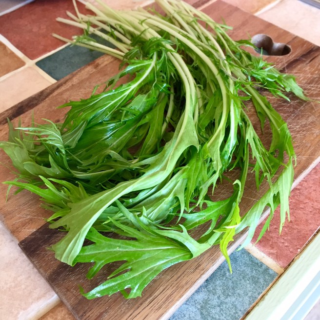 mizuna_mustard_greens_namayasai