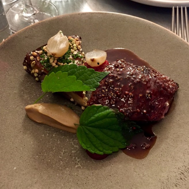 frenchie_duck_aubergine_miso