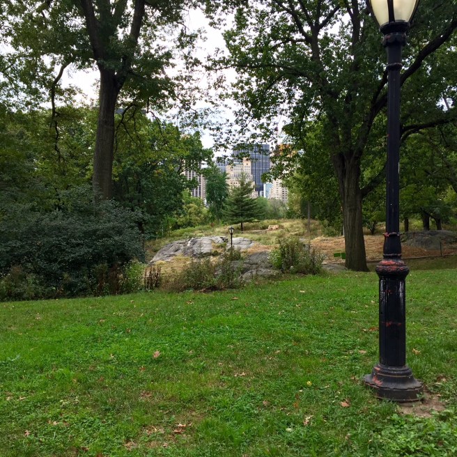NYC_Central_Park_2