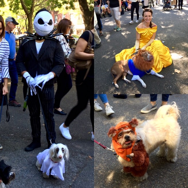 NYC_halloween_doggy_parade_1