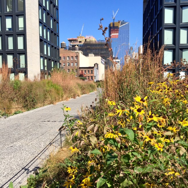 NYC_high_line_2
